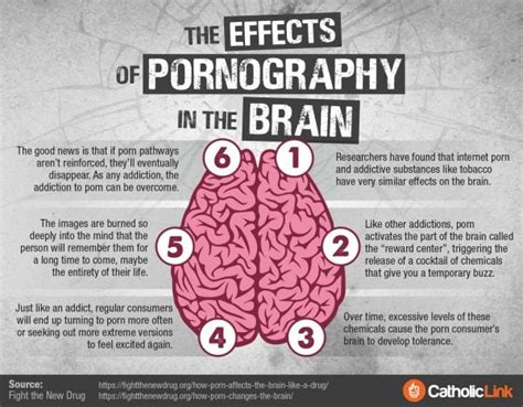 does porn cause brain damage|Le porno cause